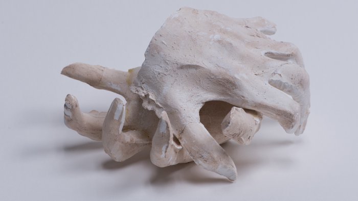 Megan Watts, Untitled, plaster