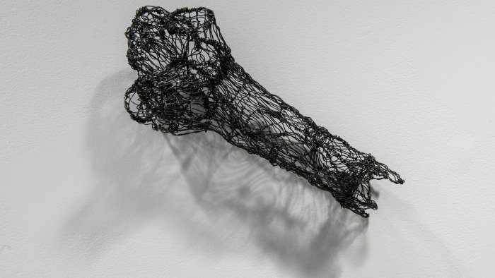Monique McKean, Branch, wire
