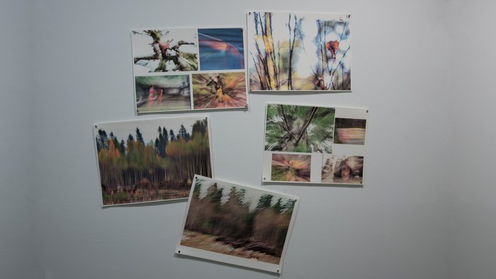 Heather Clark, Untitled, photographs