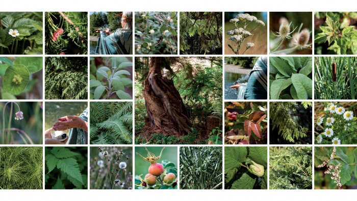 Hospital in Courtenay. Photography by Alun Macanulty.