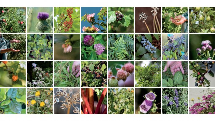 The front of the Gathering Place wall in the North Island Hospital in Courtenay. Photography by Alun Macanulty.