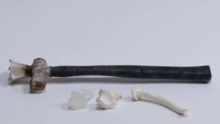 Jeff Brett, Untitled, raku-fired ceramics; Samantha White, Untitled (Bones), resin