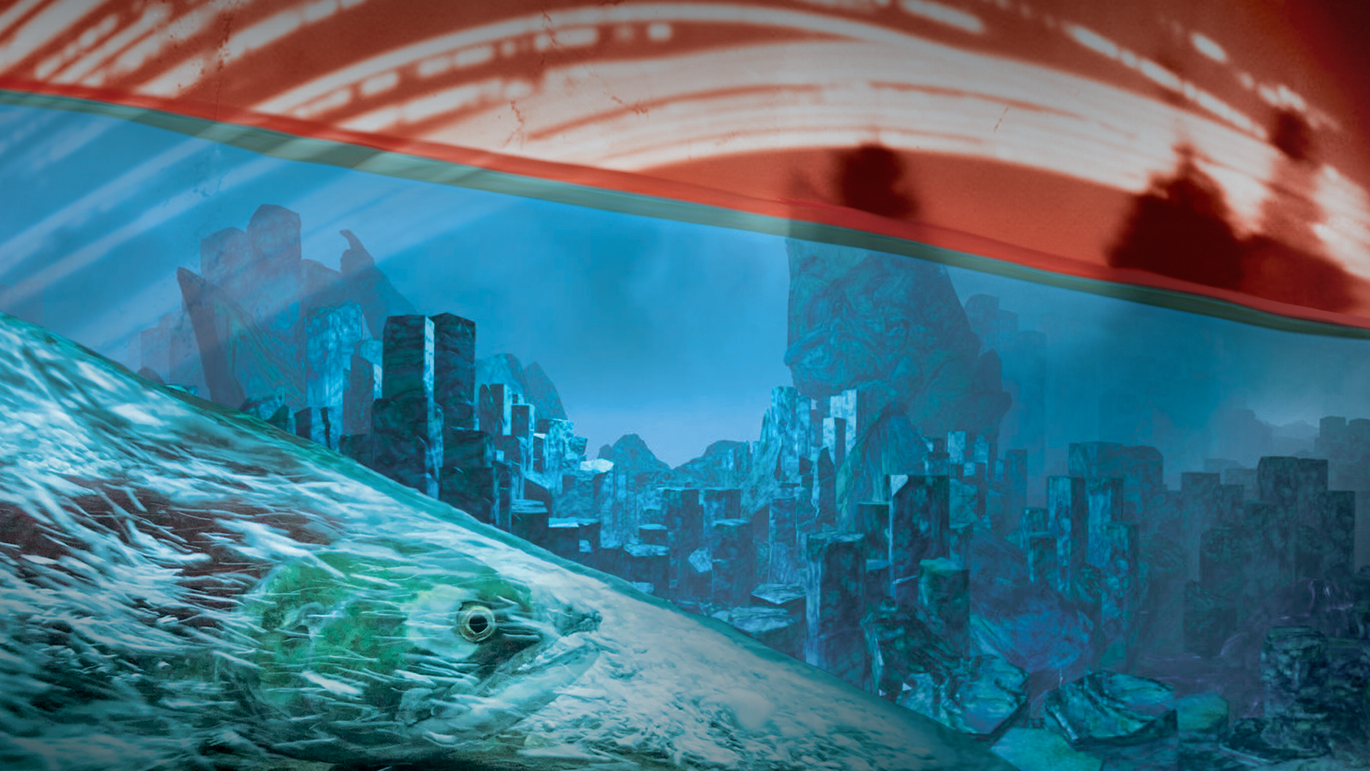 IRTW_CombinedImage_16x9_Final.png