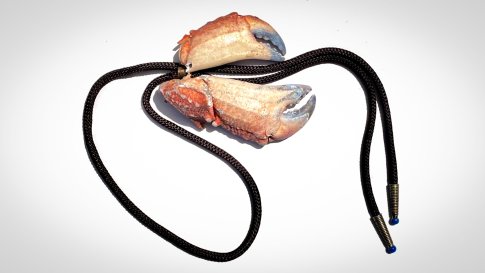 Crab-Edit_16x9_edit-2