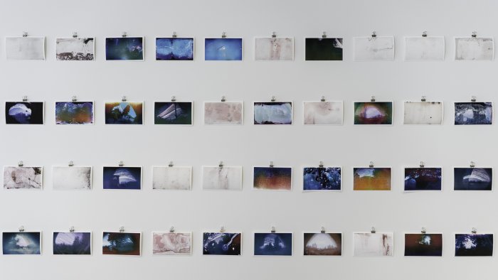 'ChronoScapes', exhibition by Sarah Crawley with one hundred community participants. Image credit: Taylor Robinson.