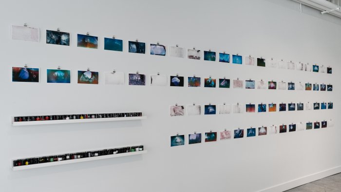 'ChronoScapes', exhibition by Sarah Crawley with one hundred community participants. Image credit: Taylor Robinson.